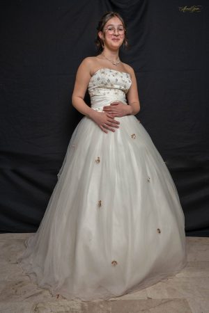 Robe de mariée bustier princesse brodée de fleurs champagne avec perles et fleurs 3D en relief sur la jupe – taille 36
